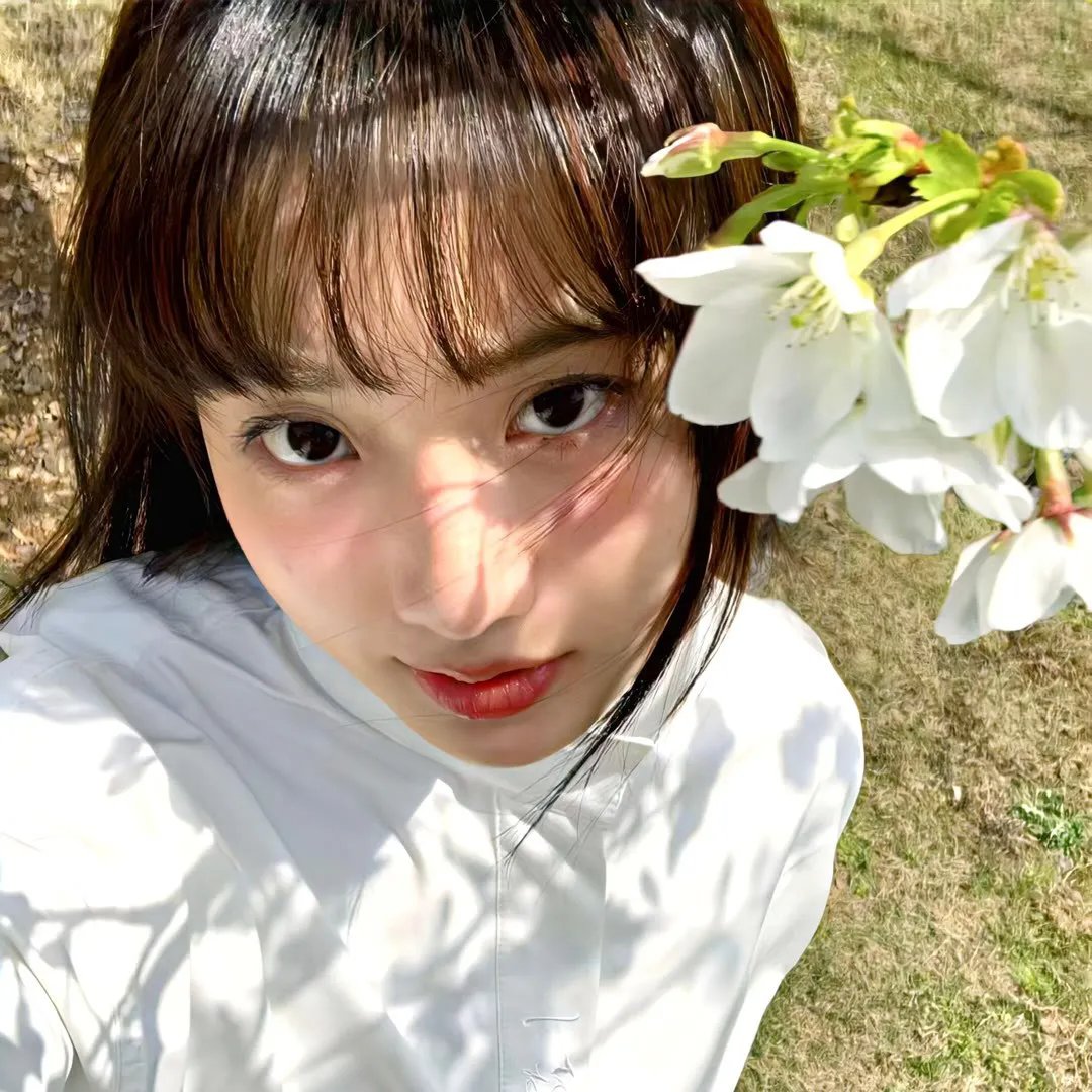 功夫兔与菜包狗第二季